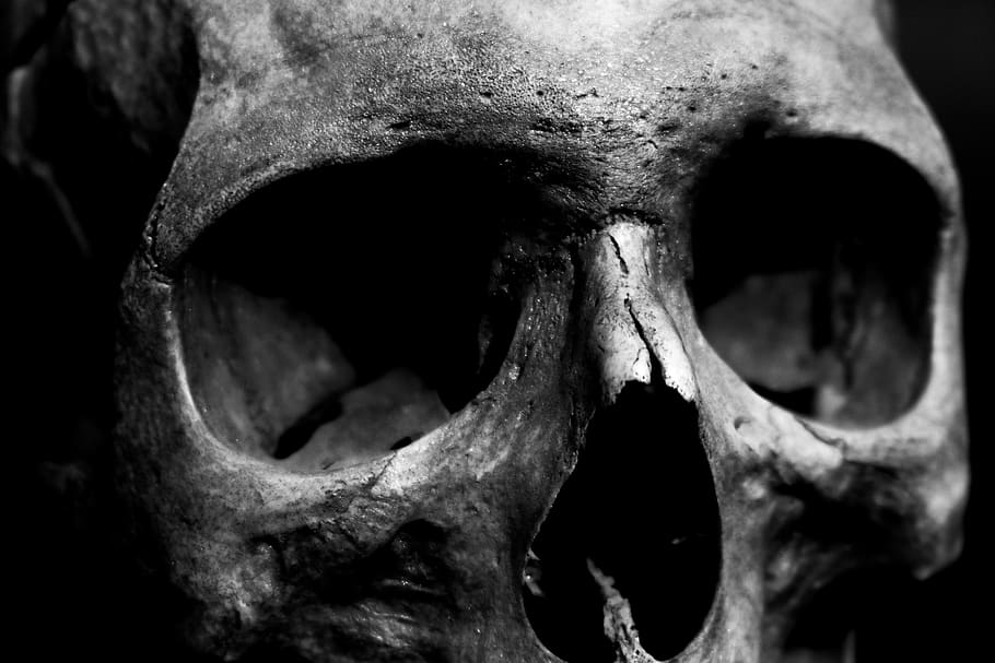 skull, human, scary, death, man, anatomy, head, dead, close-up, bone