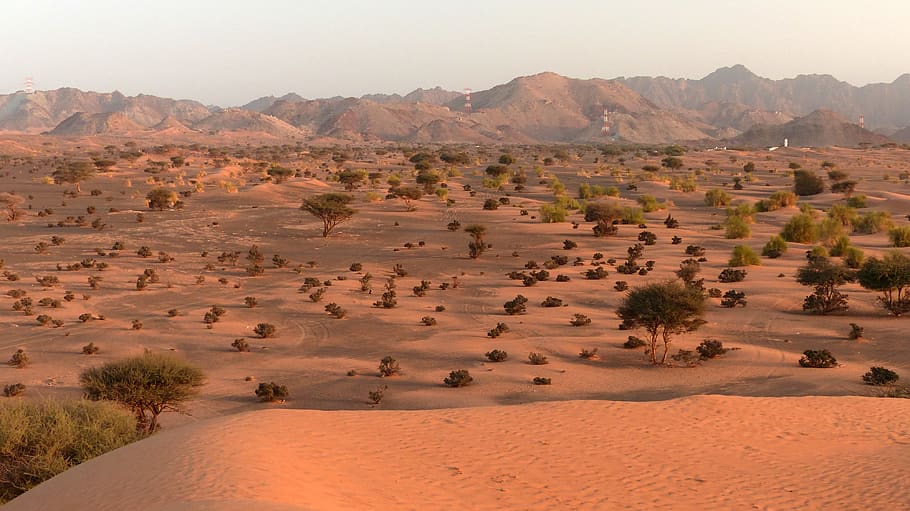 desert, arid, oman, landscape, nature, scenic, environment, scenics - nature, climate, mountain