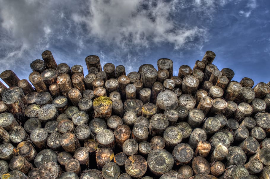 wood, lumber, logs, sky, cloud - sky, nature, stack, outdoors, large group of objects, close-up
