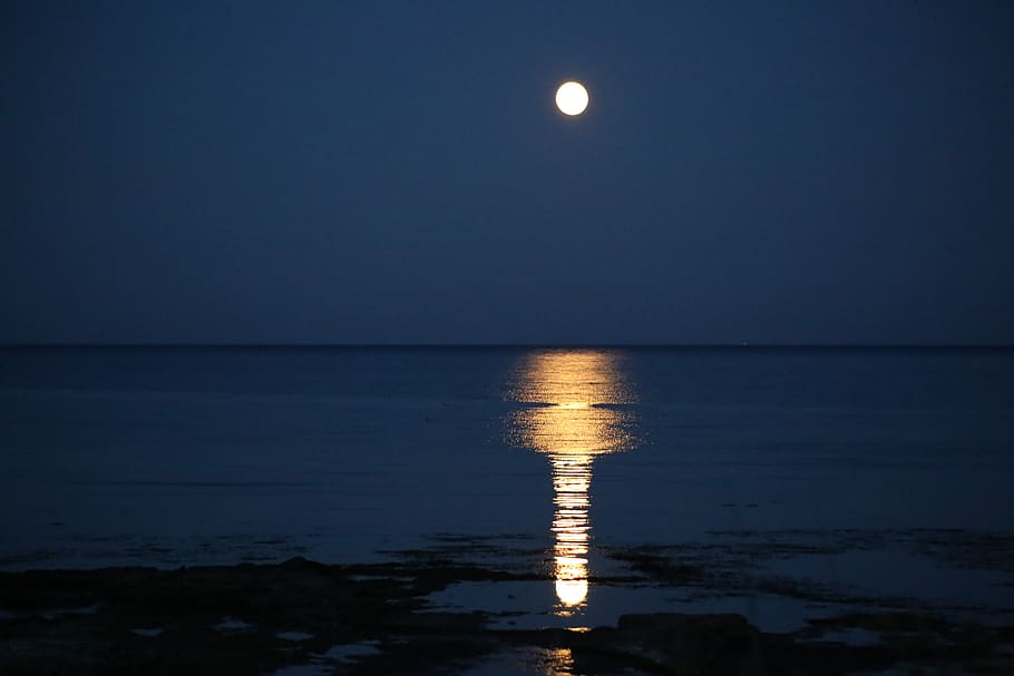 Full Moon Dusk Moonlight Night Sky Moon Water Sea Sky Horizon Over Water Scenics 