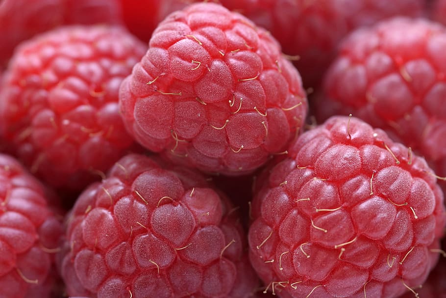 raspberry, beri, tutup, merah, makanan dan minuman, makanan, makanan sehat, buah, buah beri, kesejahteraan