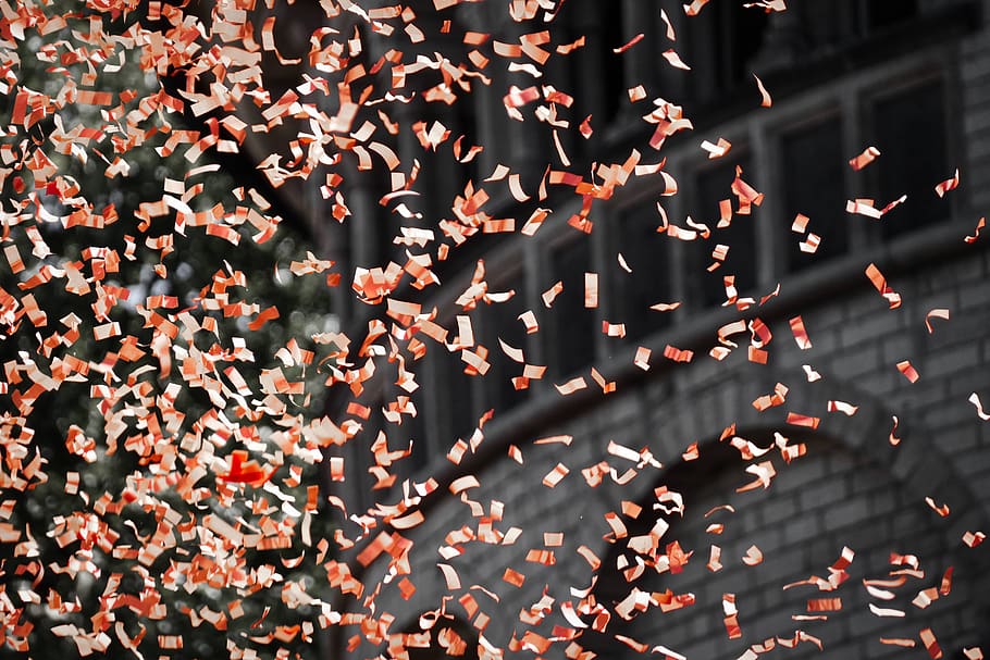 leaves, wind, confetti, mid-air, day, celebration, close-up, abundance, full frame, outdoors