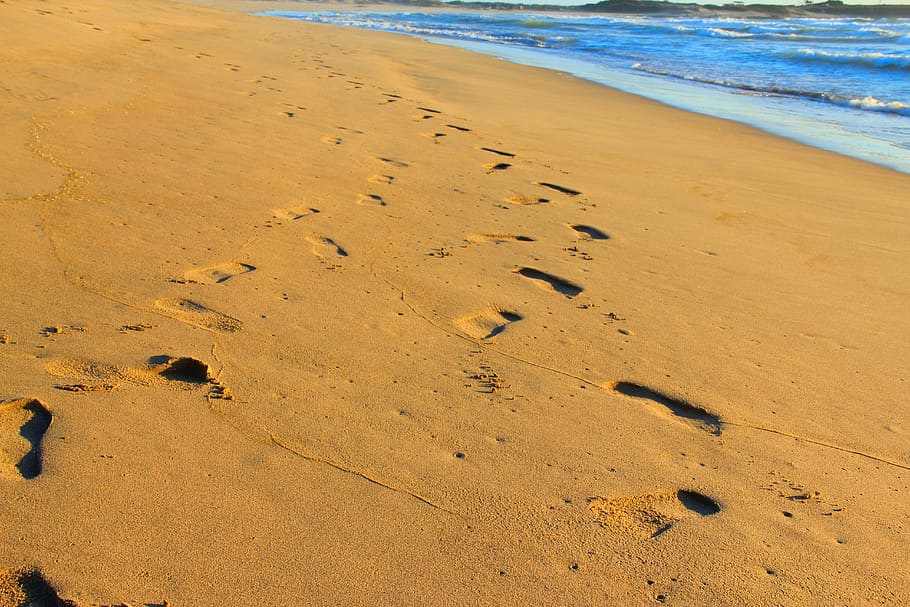 treads, in the sand, chalacatepec, jalisco, sand, beach, land, footprint, sea, water