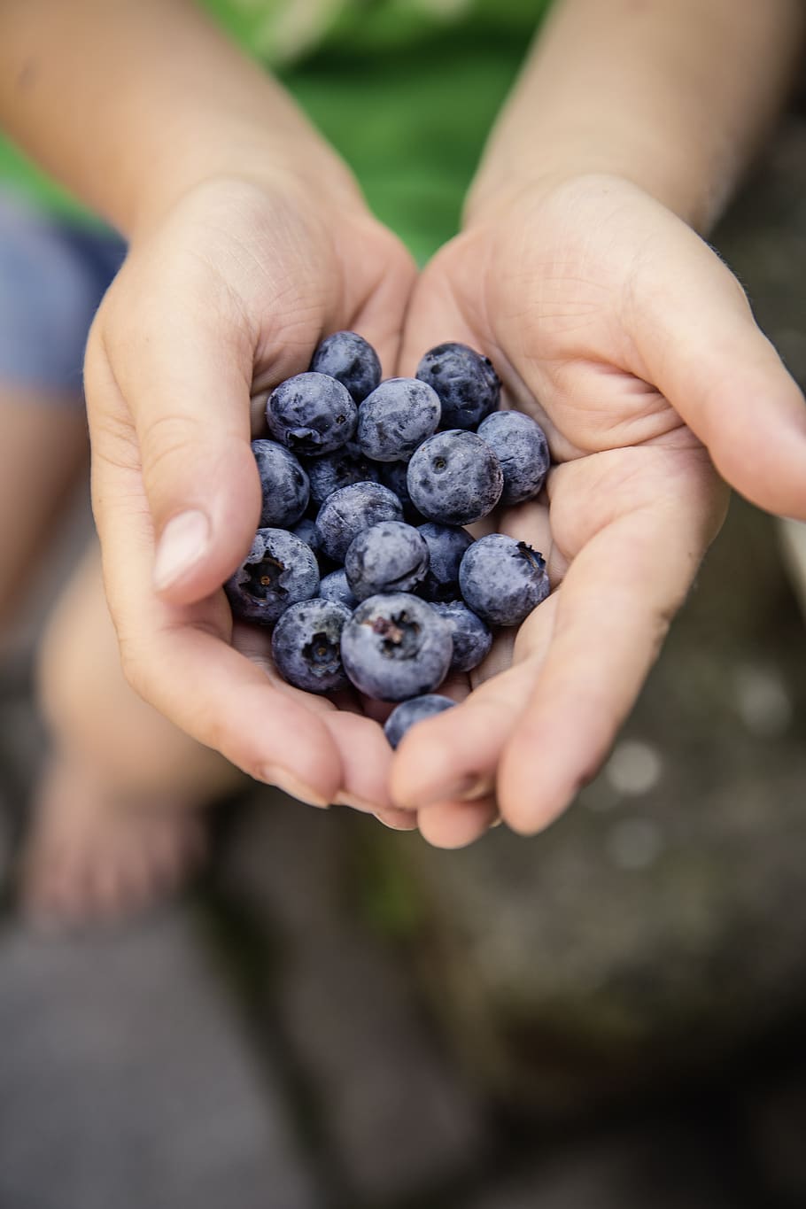blueberries, fruit, fruits, delicious, food, nutrition, red, fresh, eat, vitamins