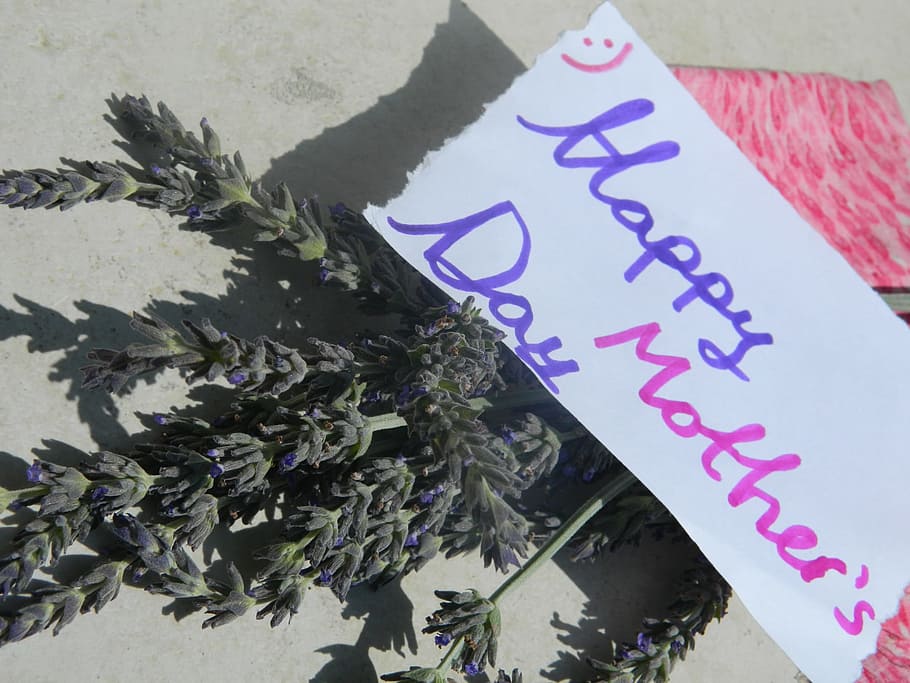 mothersday, note, happy, mother, mom, smile, lavender, lavenders, flowers, handwriting