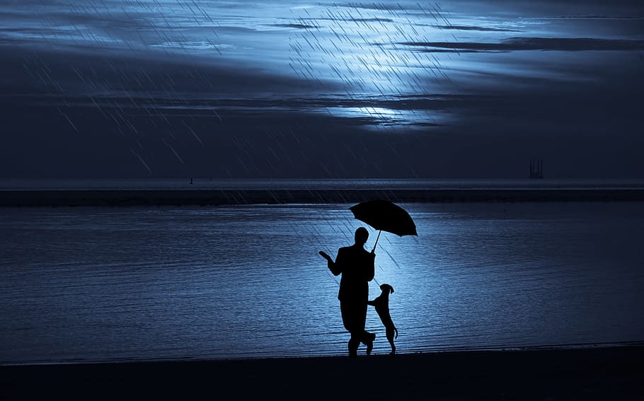 ilustrado, silueta, hombre, perro, caminar, playa, lluvia, paraguas., paraguas, mascota