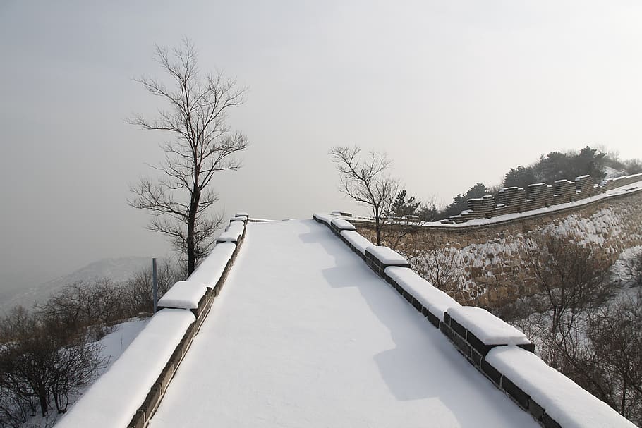winter, snow, cold, tree, nature, badaling great wall in snow, outdoor, weather, ice, tourism