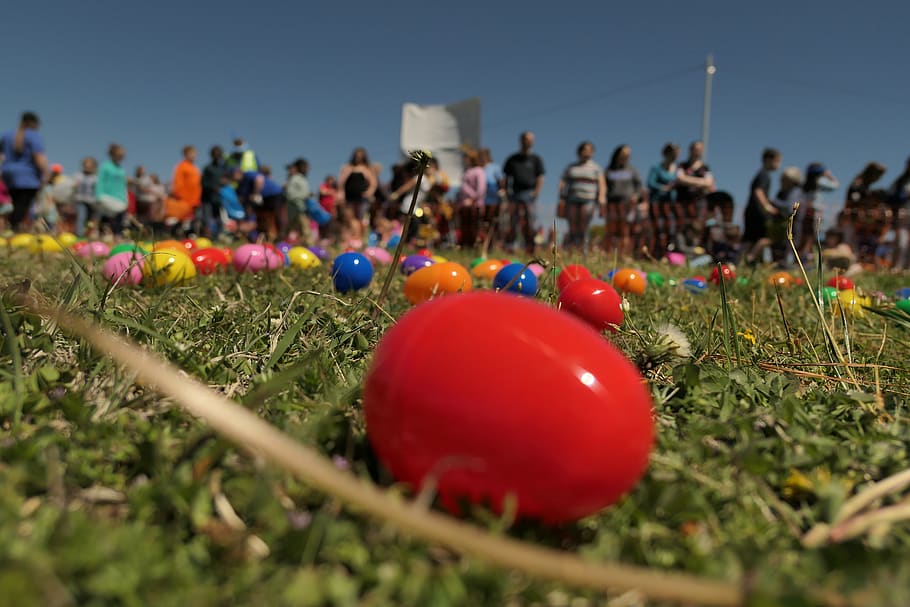 easter, egg, painted, spring, colored, eggs, nature, holiday, selective focus, grass