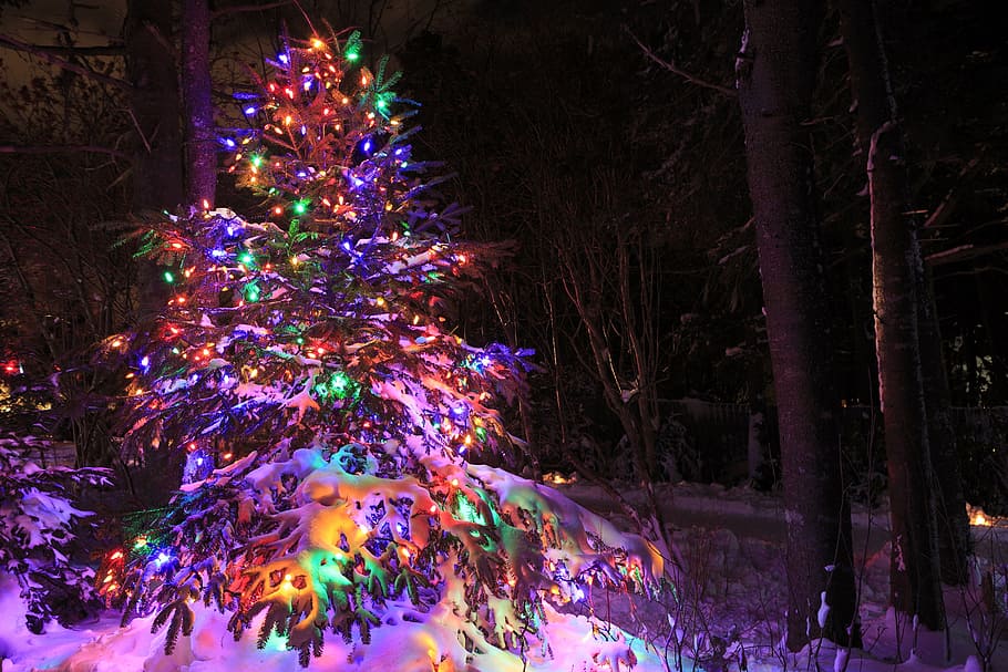 brilhante, alegre, luzes de natal, natal, natal e, festival, luz, estação, véspera de natal, decorações