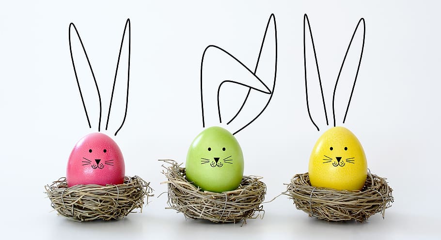 easter, eggs, rabbit, nest, funny, ears, colorful, colored, happy, holiday