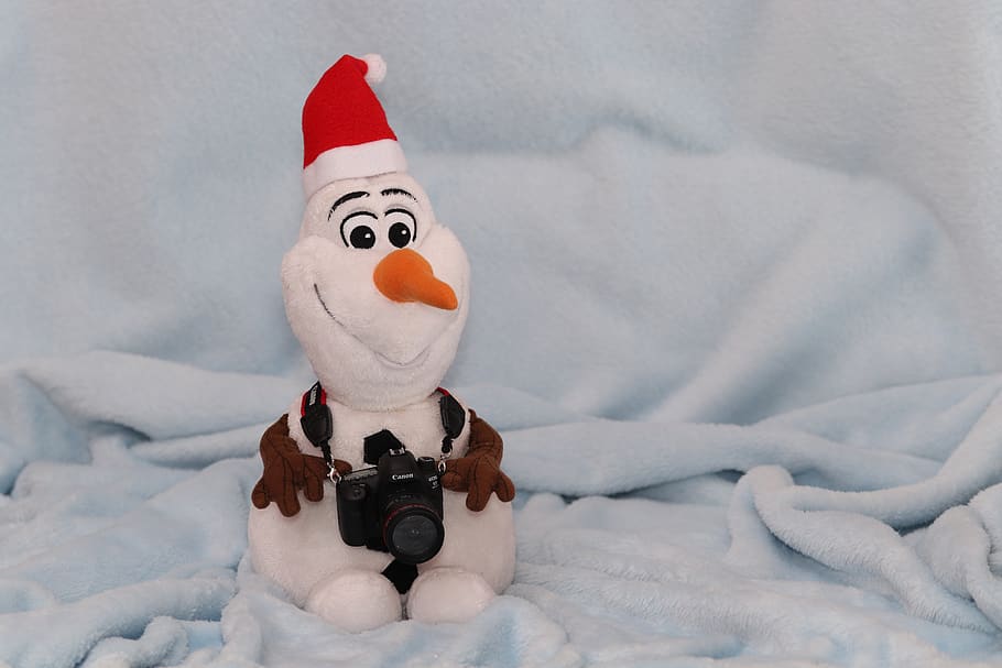 snowman, plush, figure, olaf, santa hat, camera, christmas motif, christmas picture, christmas, christmas time