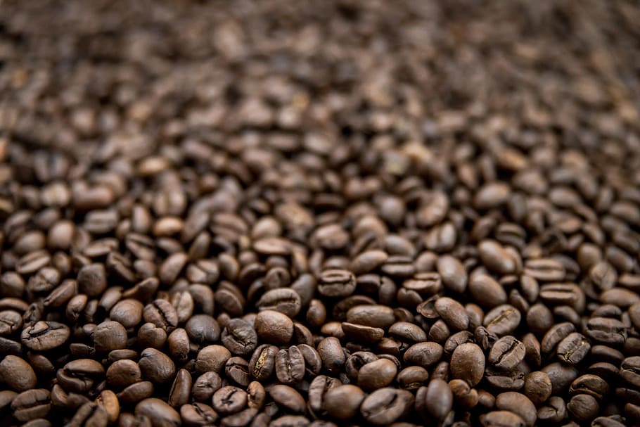 citra dangkal, kedalaman lapangan, biji kopi, makanan dan minuman, makanan, coklat, biji kopi panggang, latar belakang, kopi - minuman, kopi
