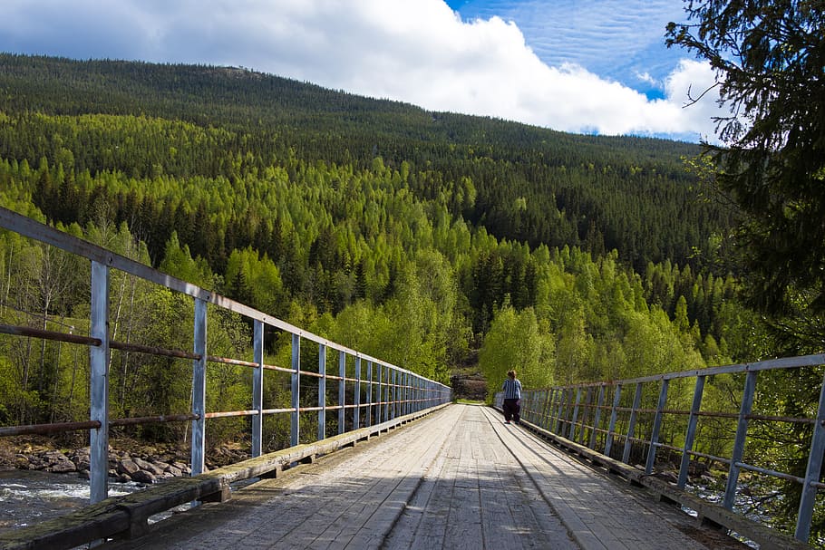 Norwegia, hutan, gunung, jembatan, perjalanan, foto, warna, menakjubkan, santai, pohon