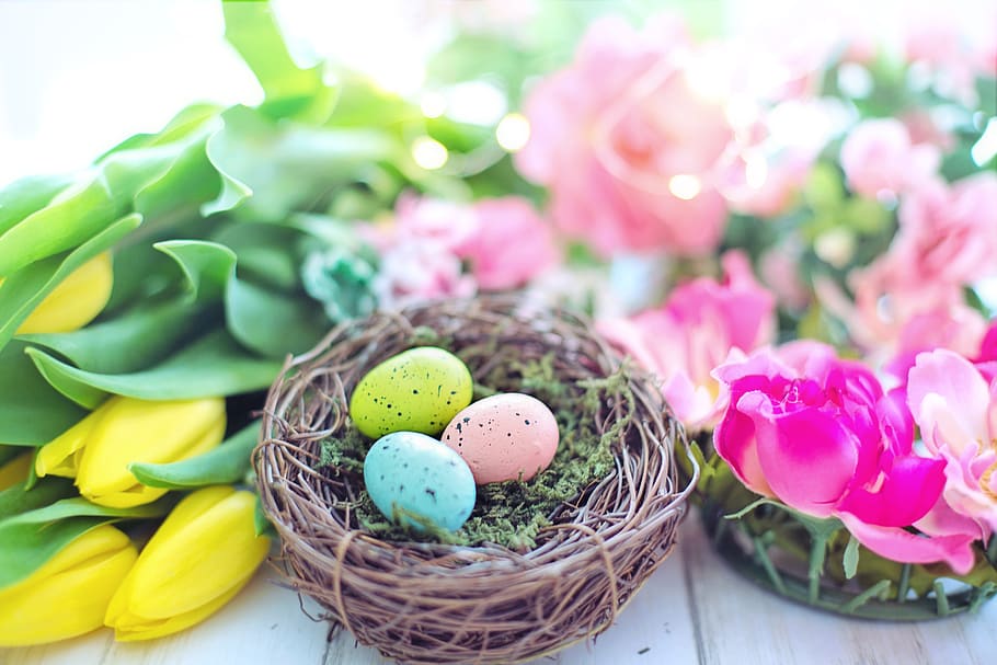 easter, nest, eggs, flowers, colorful, spring, pastels, pastel, still life, egg