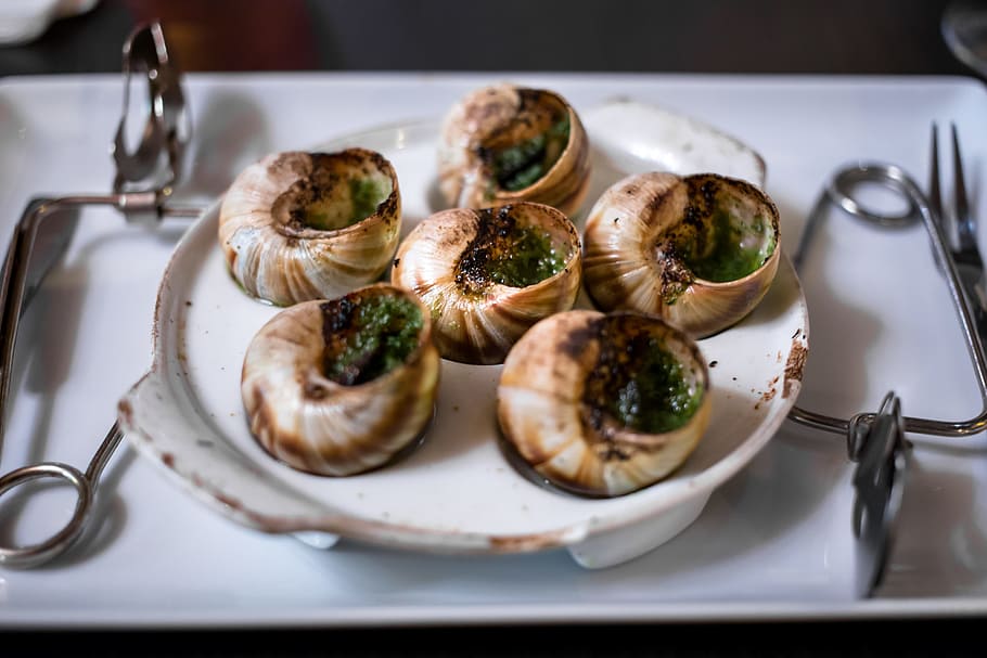 escargot, classic, dinner, dish, escargots, france, french, lunch, meal, plate