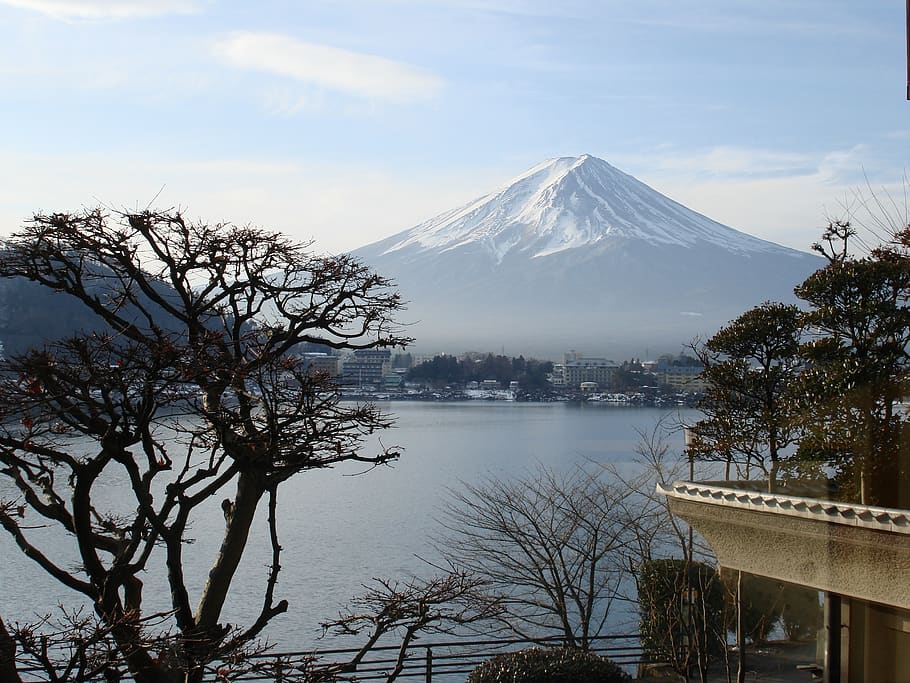 mount fuji, japan, trip, mountain, sky, tree, beauty in nature, scenics - nature, water, plant