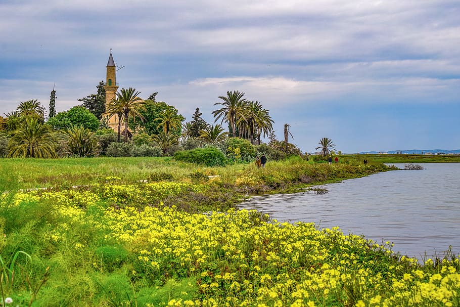 cyprus, larnaca, lake, salt lake, landscape, morning, mosque, hala sultan tekke, landmark, alyki