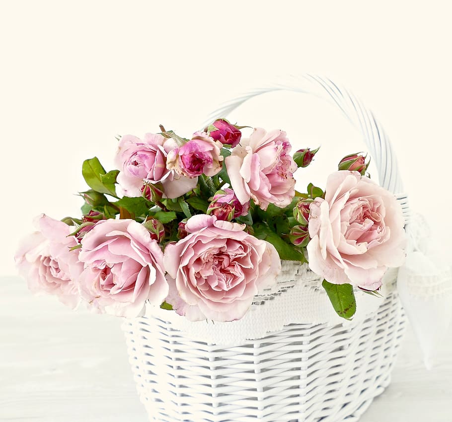 rosa, rosas, flores, romântico, casamento, arbusto, broto, gasto, decoração, branco