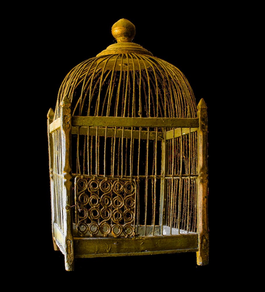metal, steel, cage, prison, object, studio shot, black background, indoors, birdcage, close-up