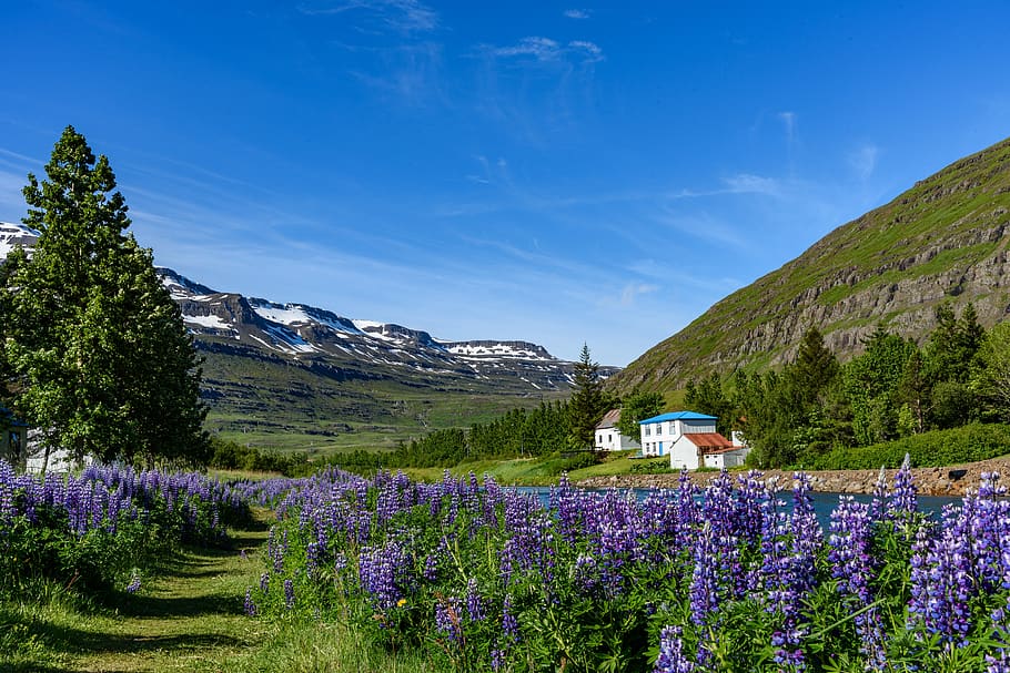 Исландия, пейзаж, Seyðisfjörur, природа, путешествовать, дом, гора, синий, небо, долина