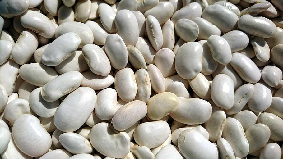 beans, health, harvest, white beans, plants, large group of objects, food, food and drink, still life, freshness
