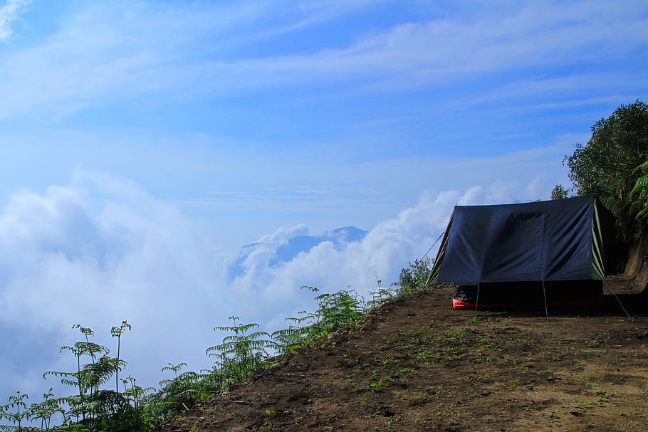 nature, landscape, sky, camping, tent, abovetheclouds, munnar, cloud, beautiful, morning