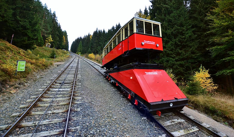 funicular, oberweißbach, turíngia alemanha, transporte ferroviário, via férrea, transporte, árvore, trem, planta, modo de transporte