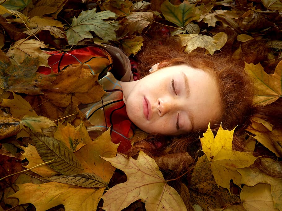 sleep, sleeping, beauty, girl, adorable, angel, little, plant part, leaf, lying down