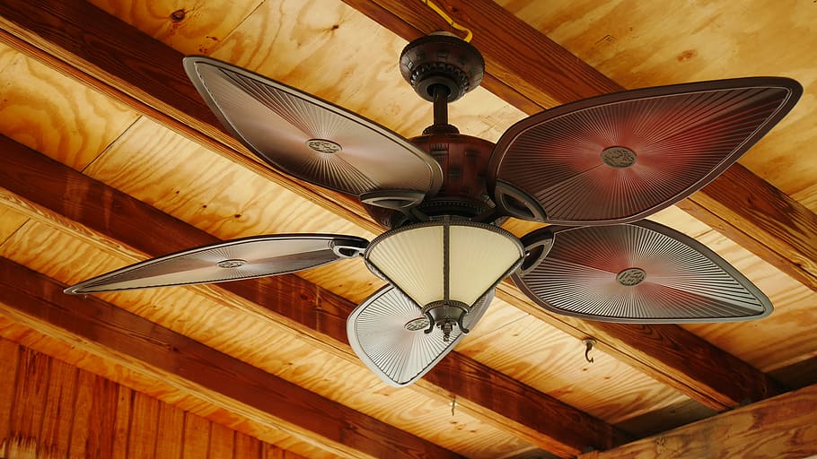 indoors, ceiling fan, interior, circulation, cool, wood - material, ceiling, low angle view, hanging, lighting equipment