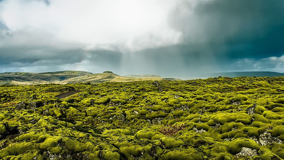 iceland, landscape, scenic, destinations, sky, clouds, raining, weather, moss, moist