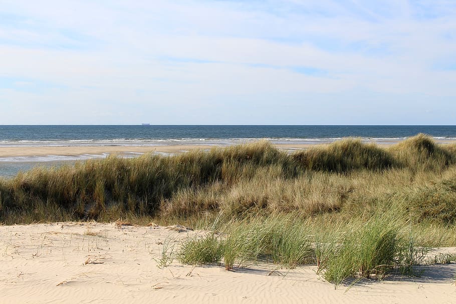 langeoog, island, east frisia, north sea, coast, beach, sea, sky, nature, landscape