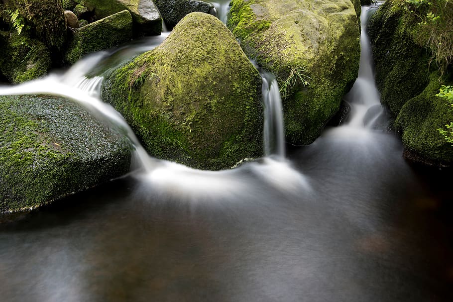 green, moss, stream, water, nature, outdoor, motion, long exposure, plant, scenics - nature