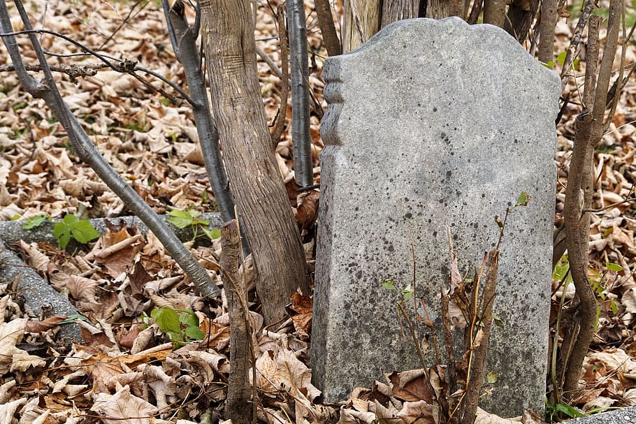 lápidas de cementerio viejo., abandonado, antiguo, otoño, fondo, cementerio, cristiano, cruz, muertos, muerte