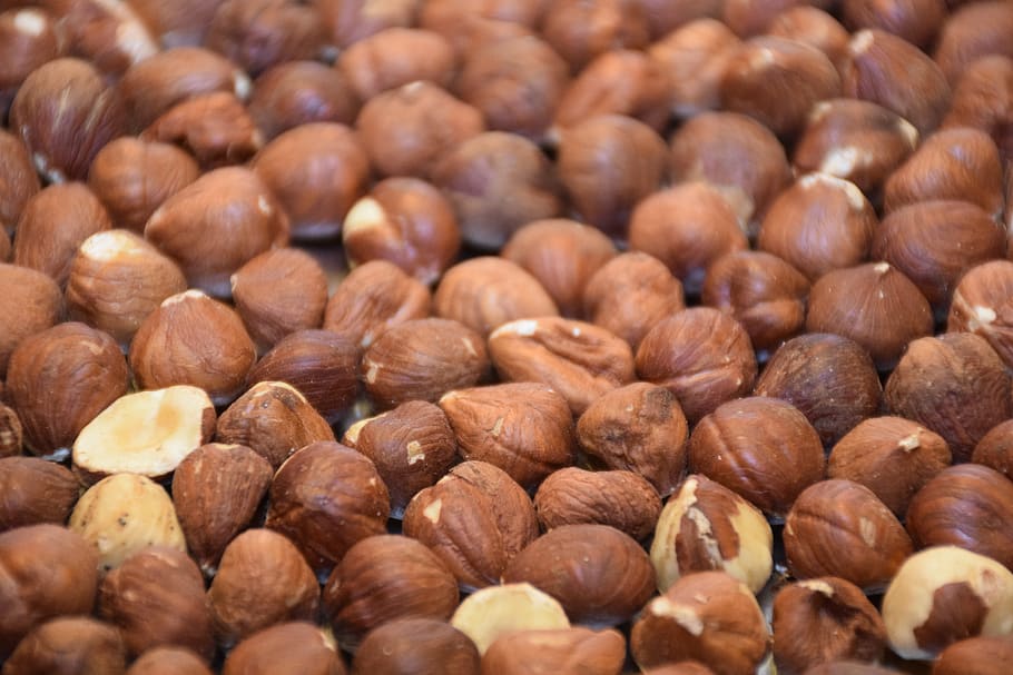 hazelnut, peanut, nut, filbert, cob nut, hazel, brown, turkish, healthy, food