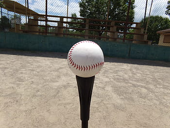 Royalty-free baseball bat photos free download | Pxfuel