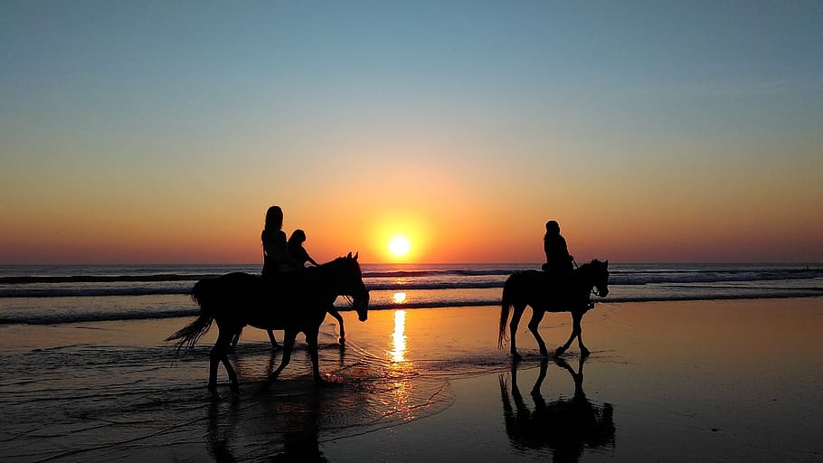 pantai, matahari terbenam, bayangan hitam, kuda, berkuda, liburan, waktu luang, pasir pantai, rekreasi, garis pantai