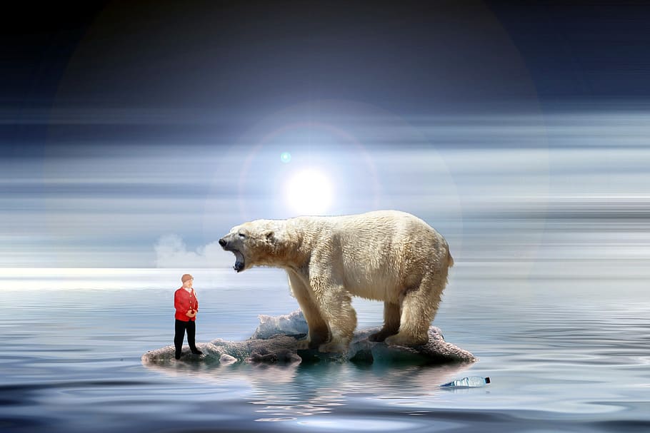 merkel, cambio climático, figuras en miniatura, oso polar, protección ambiental, política ambiental, calentamiento global, iceberg, puesta de sol, antártida