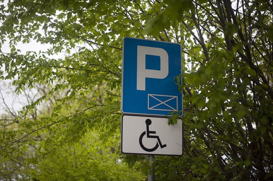 parkir, cacat, kursi roda, tanda, simbol, taman, ikon, akses, mobil, aksesibilitas