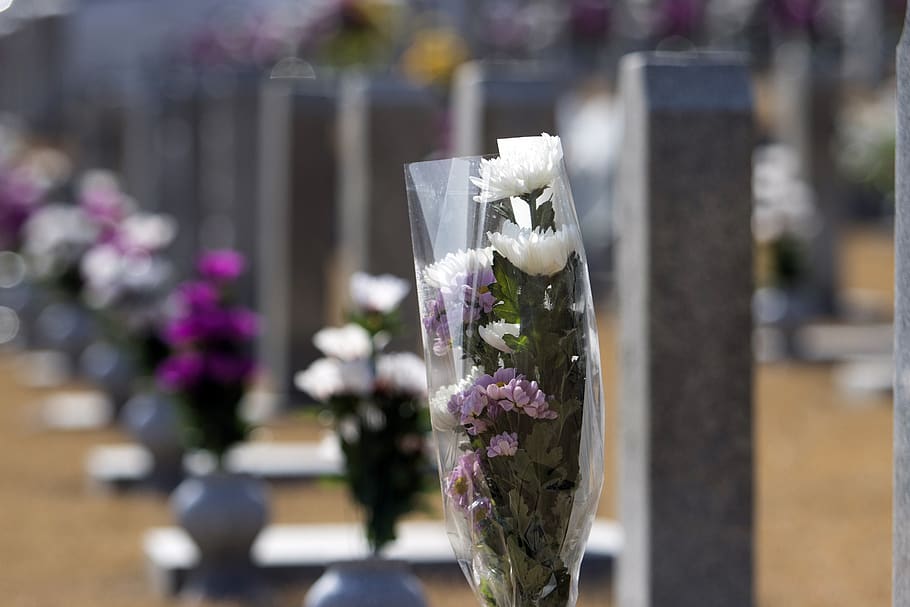 cemitério nacional, memorial, luto, cemitério, adicione também, o patriota, mérito nacional, coroa de flores, o, flor
