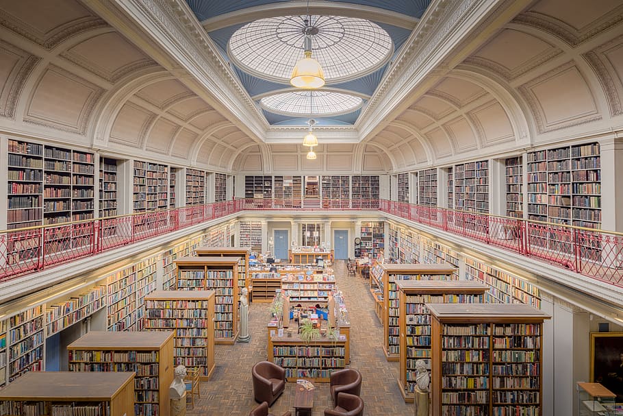 newcastle, book, books, read, reading, study, studying, learn learning, library, libraries