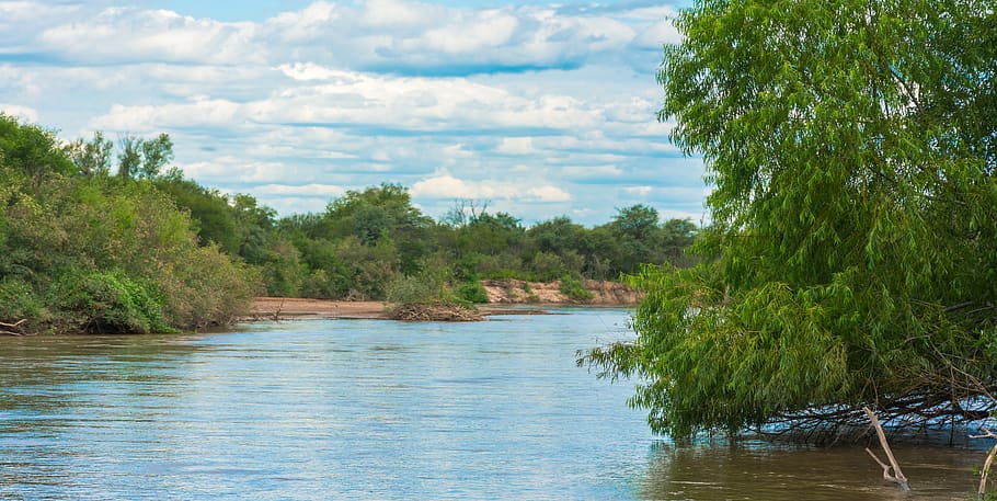 river, water, argentina, landscape, tree, plant, beauty in nature, tranquility, scenics - nature, growth