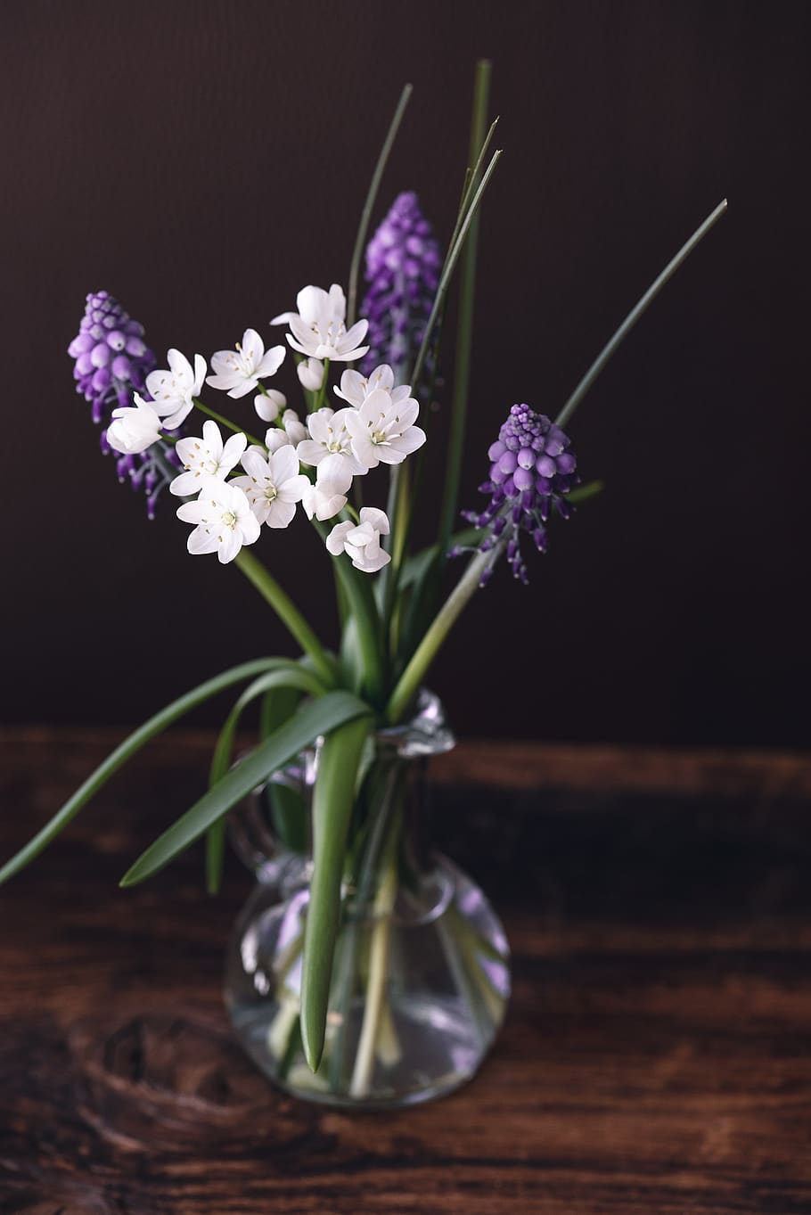 flowers, tender, spring flowers, still life, small flowers, white, vase, flower vase, deco, decoration