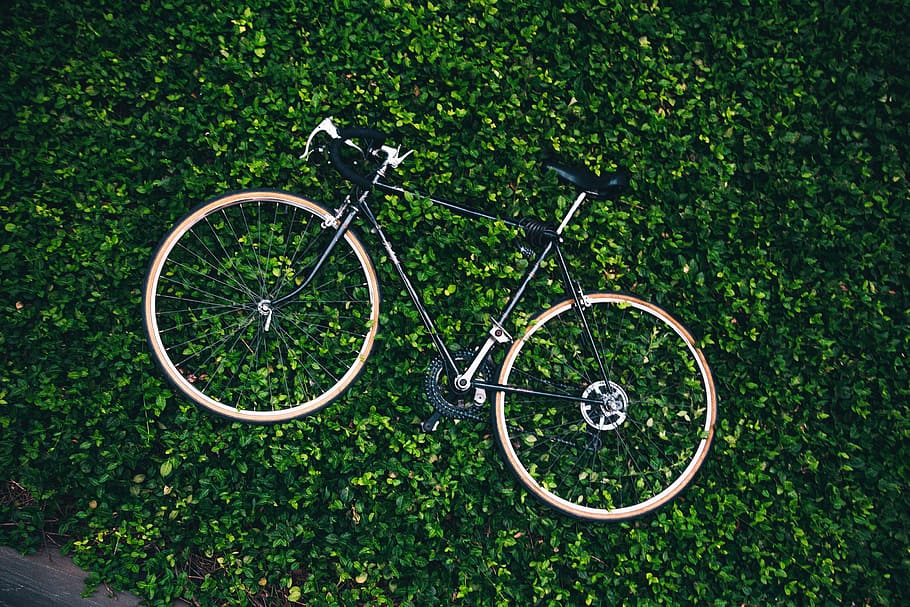 Bicicleta, graden, rodeado, hojas, negro, desplazamientos, tierras de cultivo, jardín, verde, paisaje