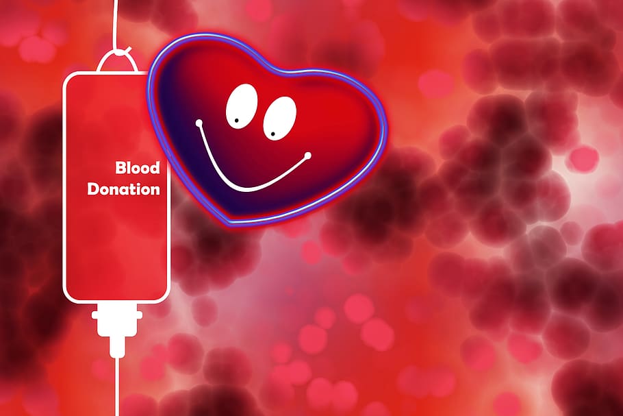 donación de sangre, sangre, unidad de sangre, salud, vivo, rescatador, corazón, donación, plasma, grupo sanguíneo