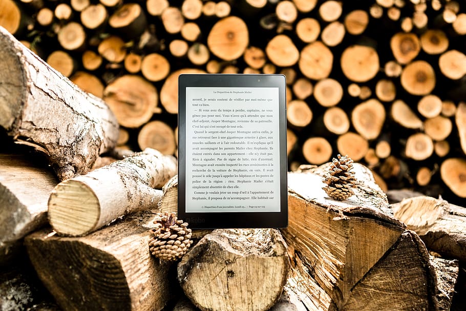 tree, logs, wood, winter, fall, reading light, book, read, fireplace, bark