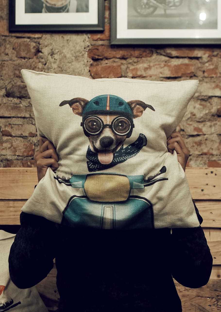 cão, almofada, homem, feliz, óculos, tijolo, parede, rústico, travesseiro, casa