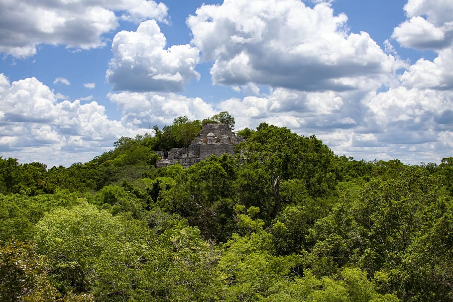 ruins of calakmul, pyramid, mayan ruins, campeche mexico, mexico, nature, archaeology, clouds, architecture, cloud - sky