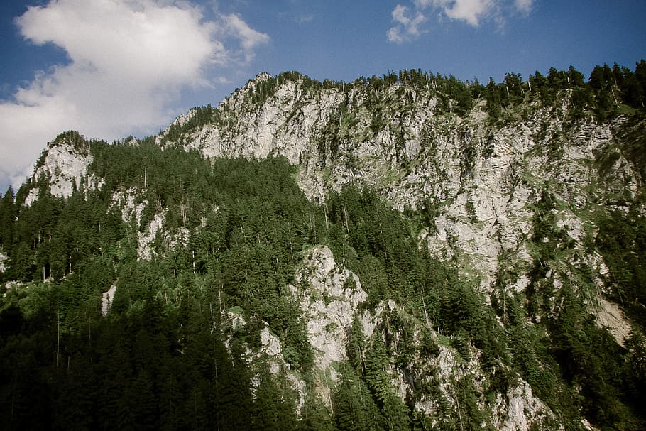 bavarian alps, jerman, alpine, alps, bavaria, biru, tenang, eropa, hijau, hohenschwangau