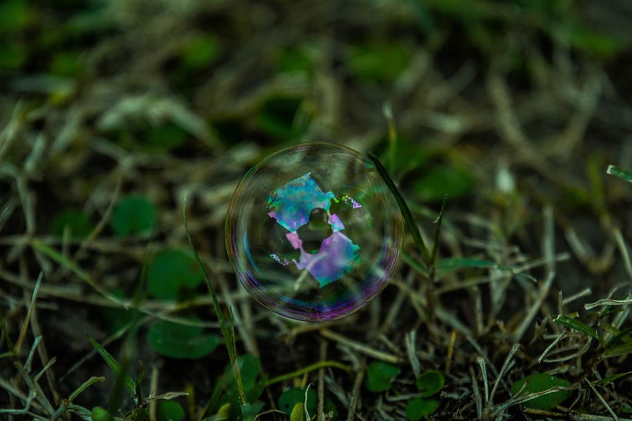 bubbles, water, reflection, green, grass, nature, fragility, close-up, vulnerability, transparent