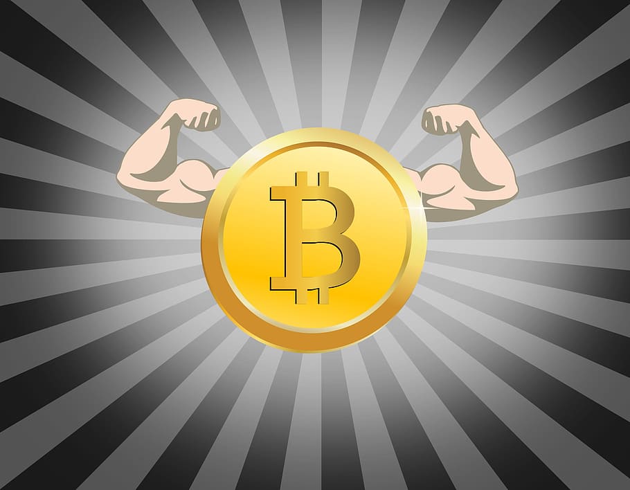bitcoin, -, naik, cryptocurrency, uang, blockchain, didistribusikan, buku besar, teknologi, mata uang